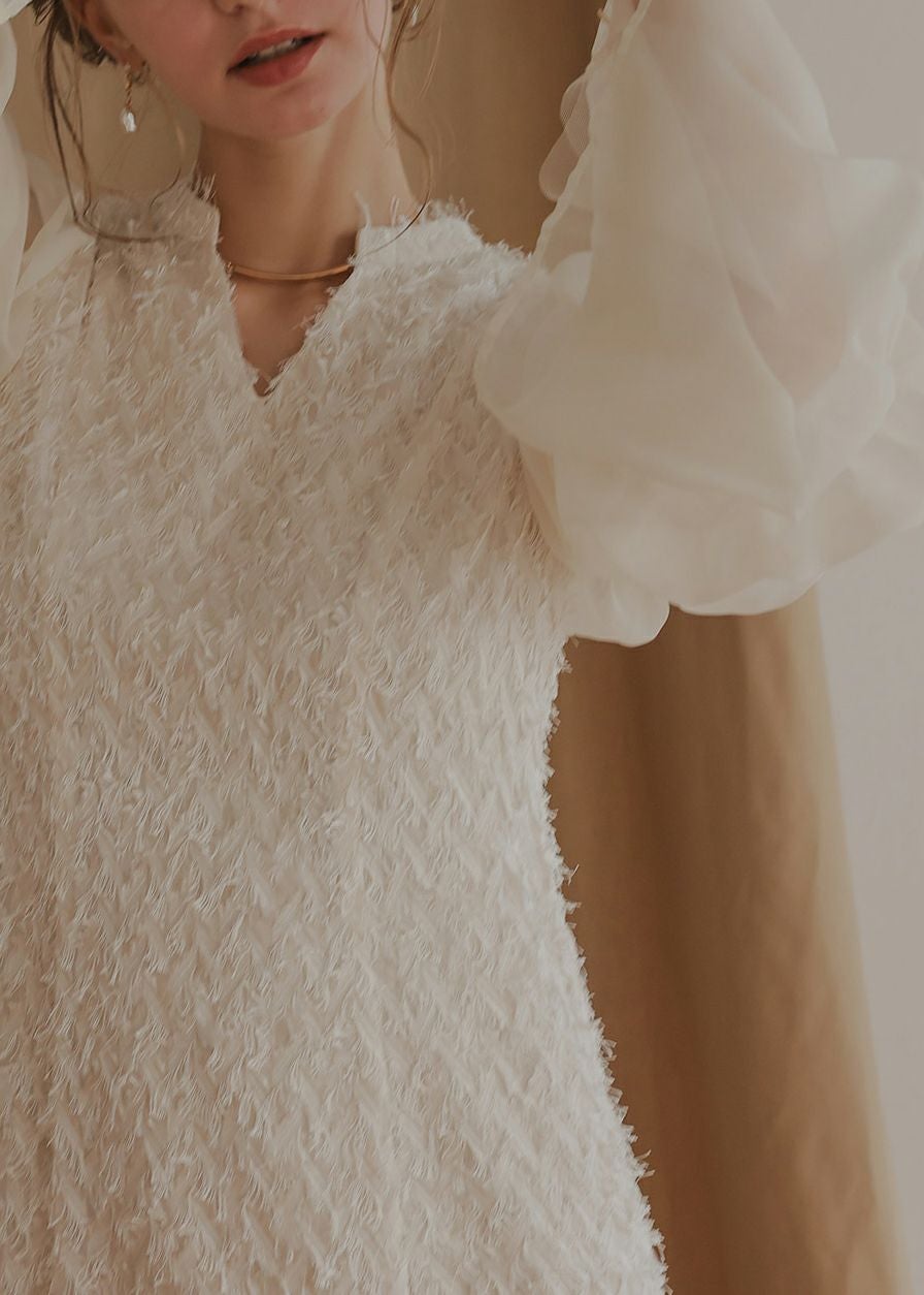 デザインスリーブシャギードレスのドレス|Dorry Doll / LE'RURE